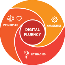 Digital Fluency