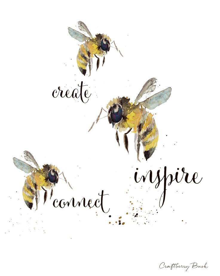 inspire create connect